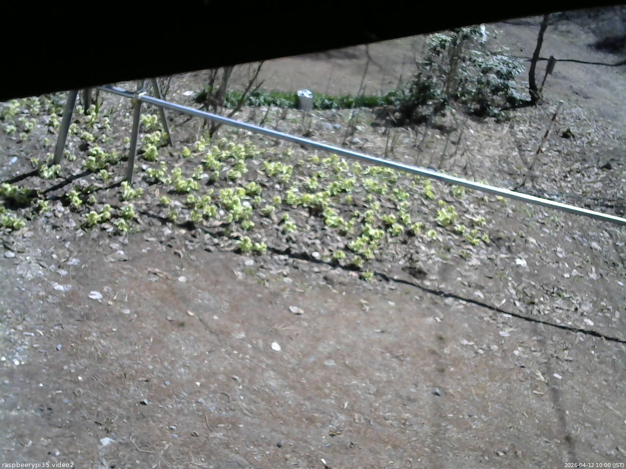 長野県菅平高原 ゆたか山荘 駐車場 2026/04/12 10:00