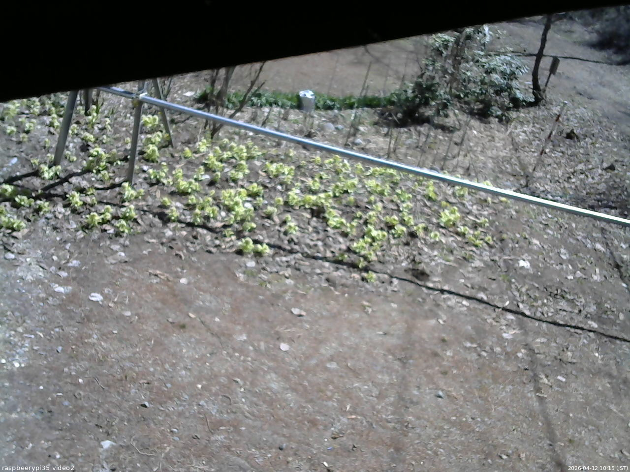 長野県菅平高原 ゆたか山荘 駐車場 2026/04/12 10:15