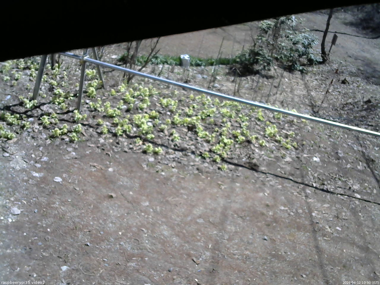 長野県菅平高原 ゆたか山荘 駐車場 2026/04/12 10:30