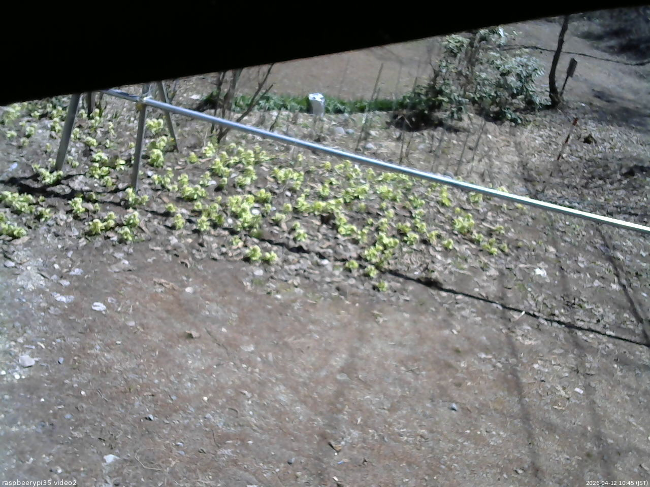 長野県菅平高原 ゆたか山荘 駐車場 2026/04/12 10:45