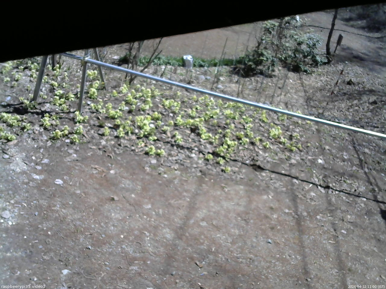 長野県菅平高原 ゆたか山荘 駐車場 2026/04/12 11:00