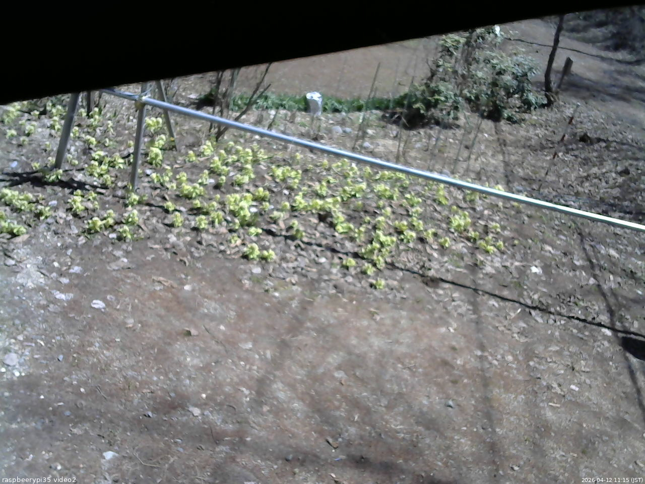 長野県菅平高原 ゆたか山荘 駐車場 2026/04/12 11:15