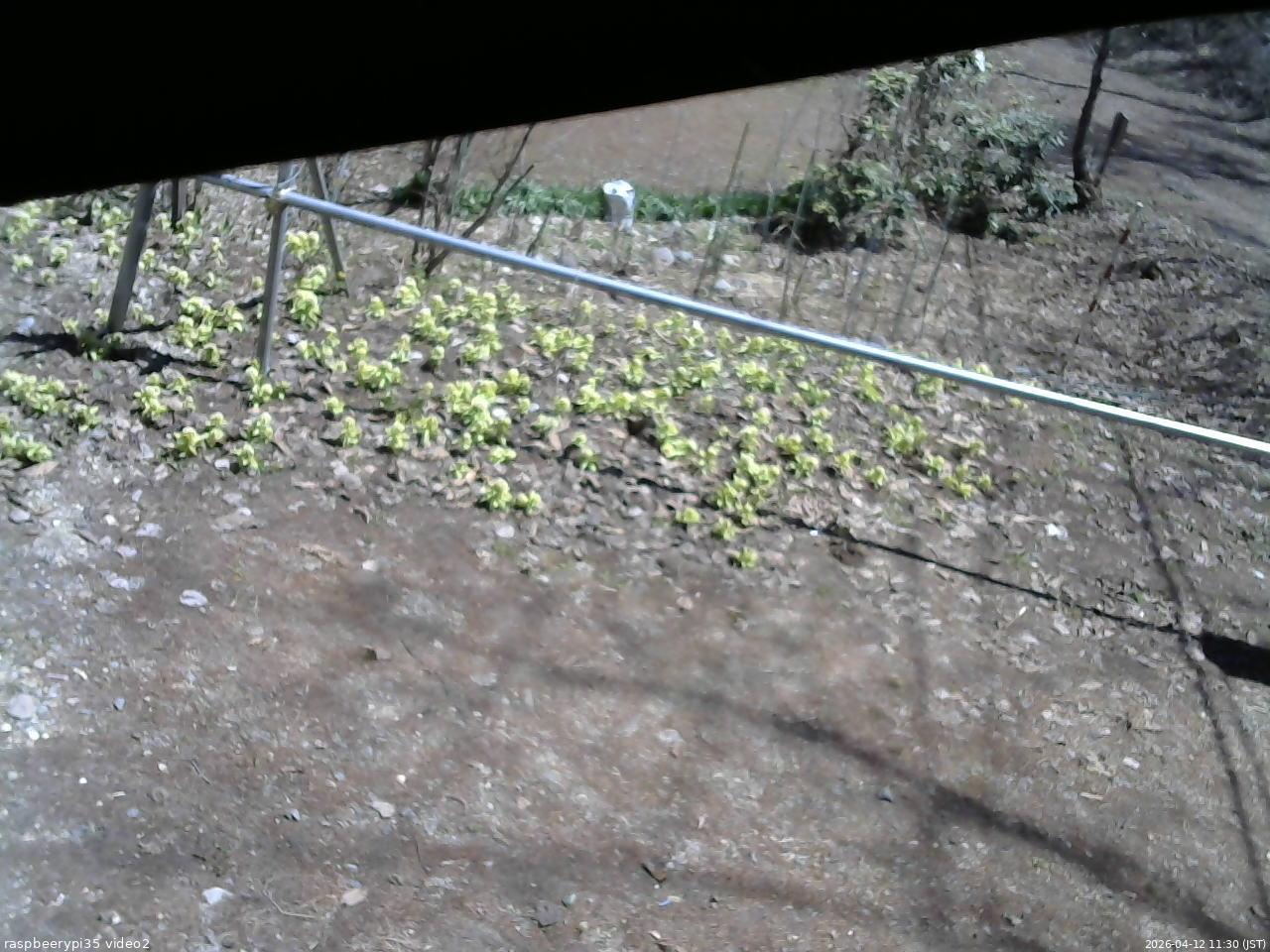 長野県菅平高原 ゆたか山荘 駐車場 2026/04/12 11:30