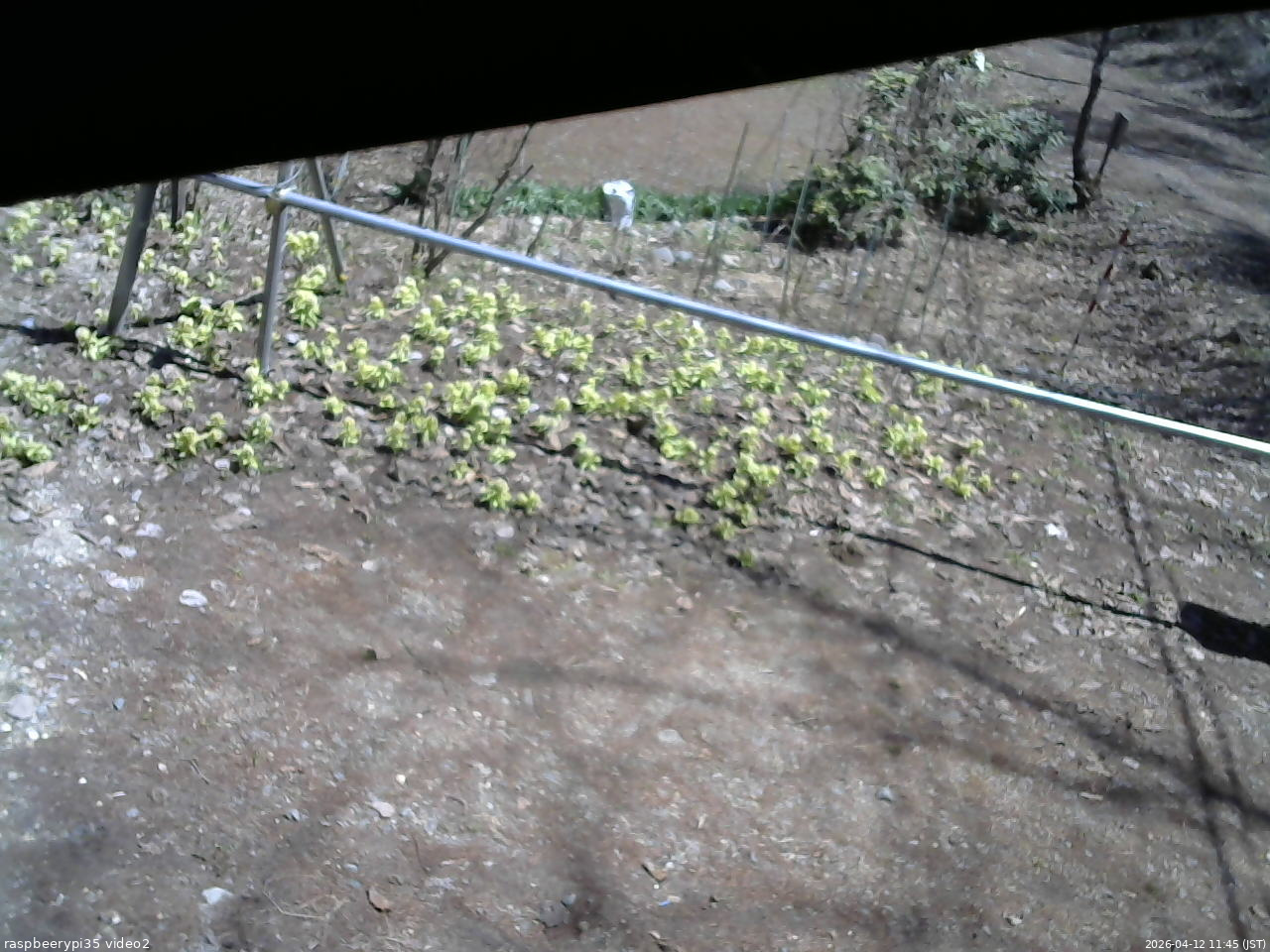長野県菅平高原 ゆたか山荘 駐車場 2026/04/12 11:45