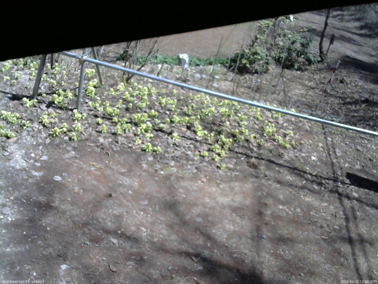 長野県菅平高原 ゆたか山荘 駐車場 2026/04/12 12:00