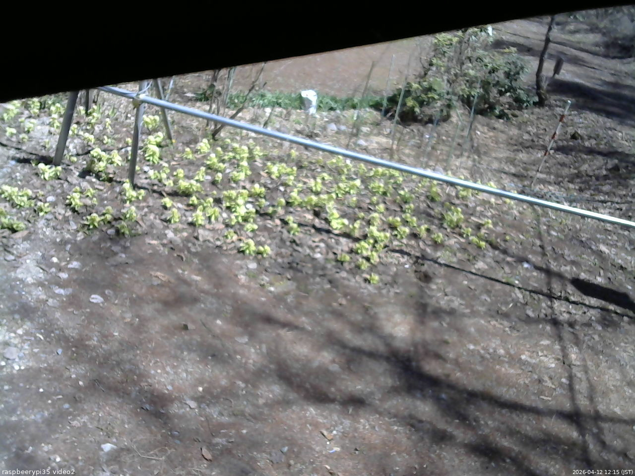 長野県菅平高原 ゆたか山荘 駐車場 2026/04/12 12:15
