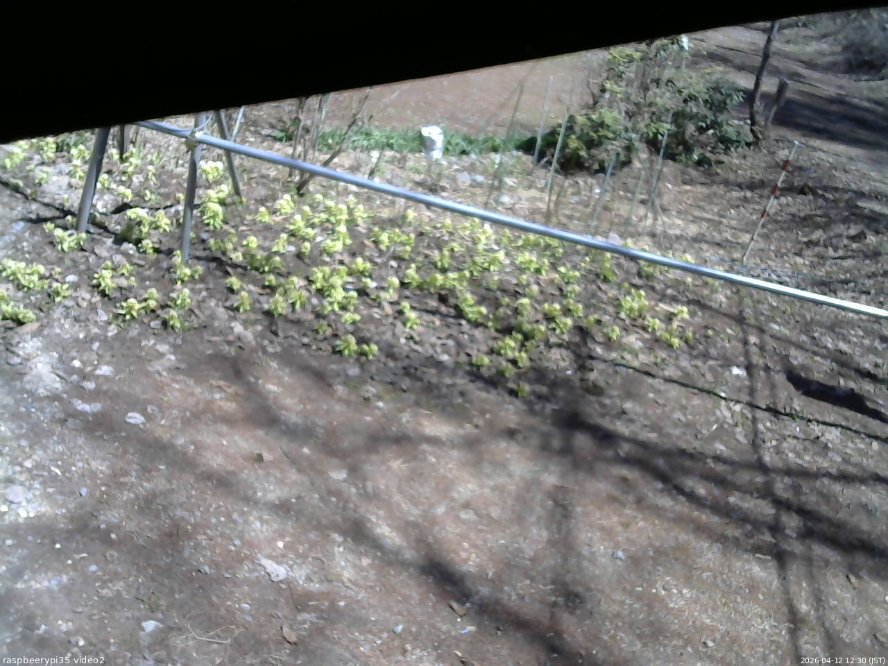 長野県菅平高原 ゆたか山荘 駐車場 2026/04/12 12:30