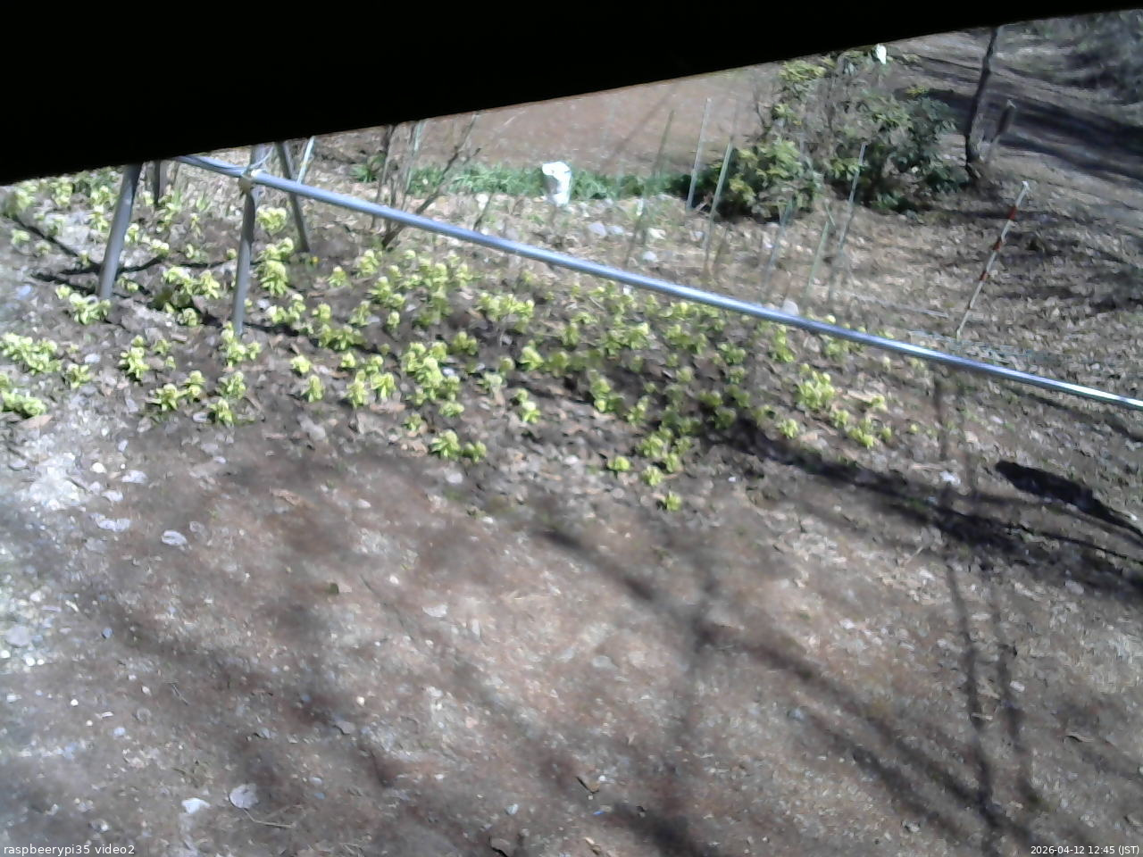 長野県菅平高原 ゆたか山荘 駐車場 2026/04/12 12:45