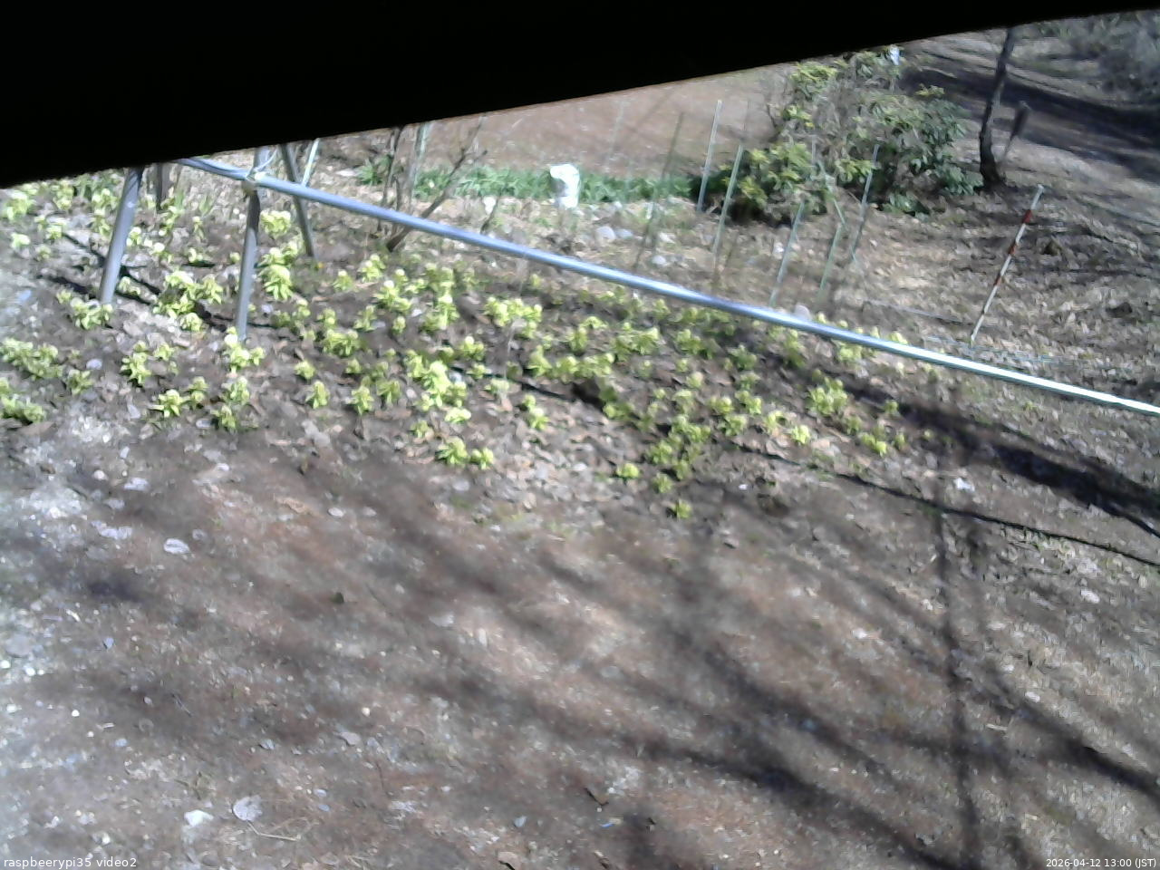 長野県菅平高原 ゆたか山荘 駐車場 2026/04/12 13:00