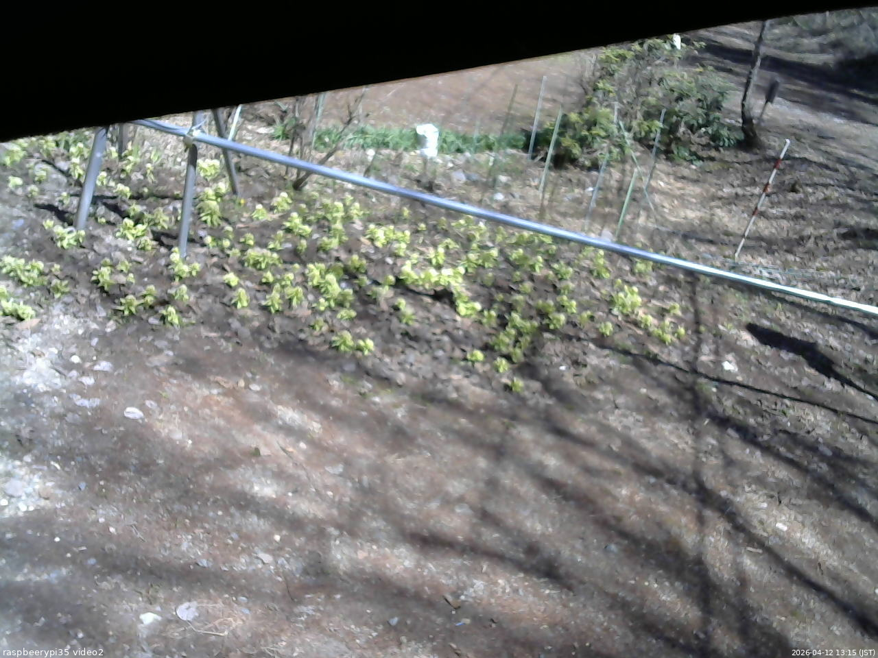 長野県菅平高原 ゆたか山荘 駐車場 2026/04/12 13:15