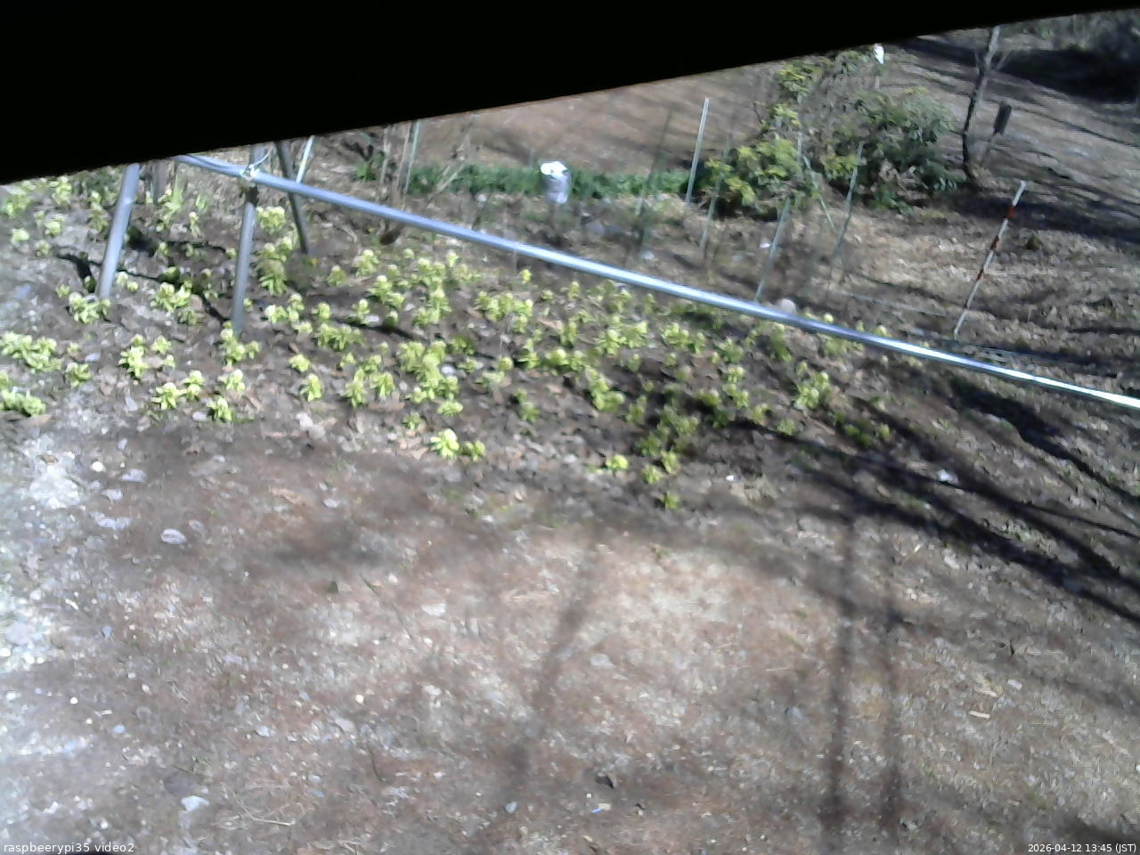 長野県菅平高原 ゆたか山荘 駐車場 2026/04/12 13:45