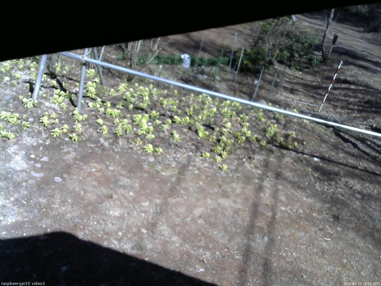 長野県菅平高原 ゆたか山荘 駐車場 2026/04/12 14:15