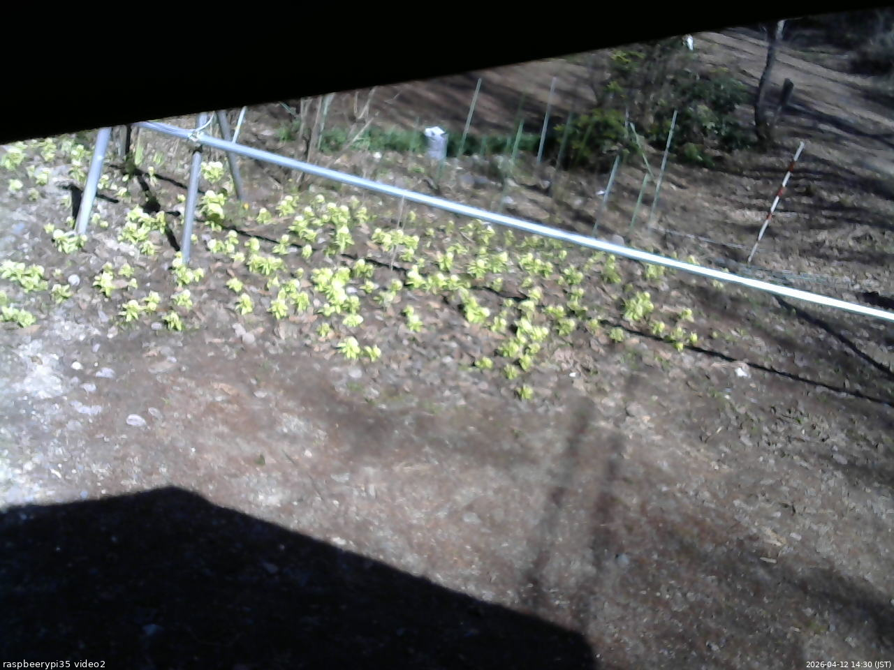 長野県菅平高原 ゆたか山荘 駐車場 2026/04/12 14:30