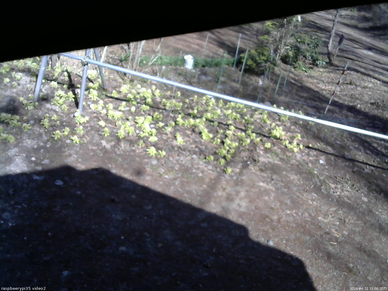 長野県菅平高原 ゆたか山荘 駐車場 2026/04/12 15:00