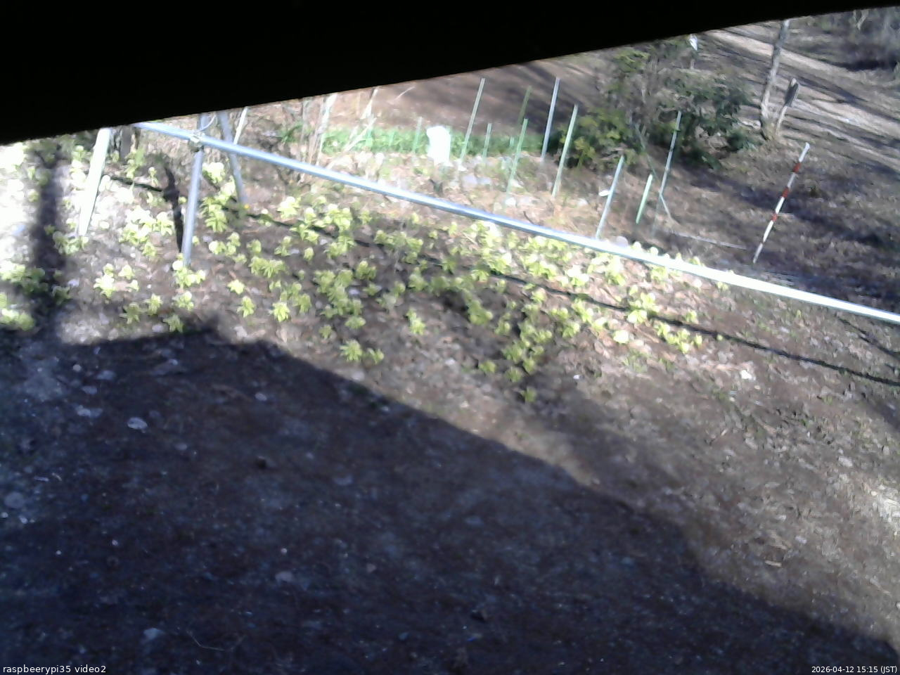 長野県菅平高原 ゆたか山荘 駐車場 2026/04/12 15:15