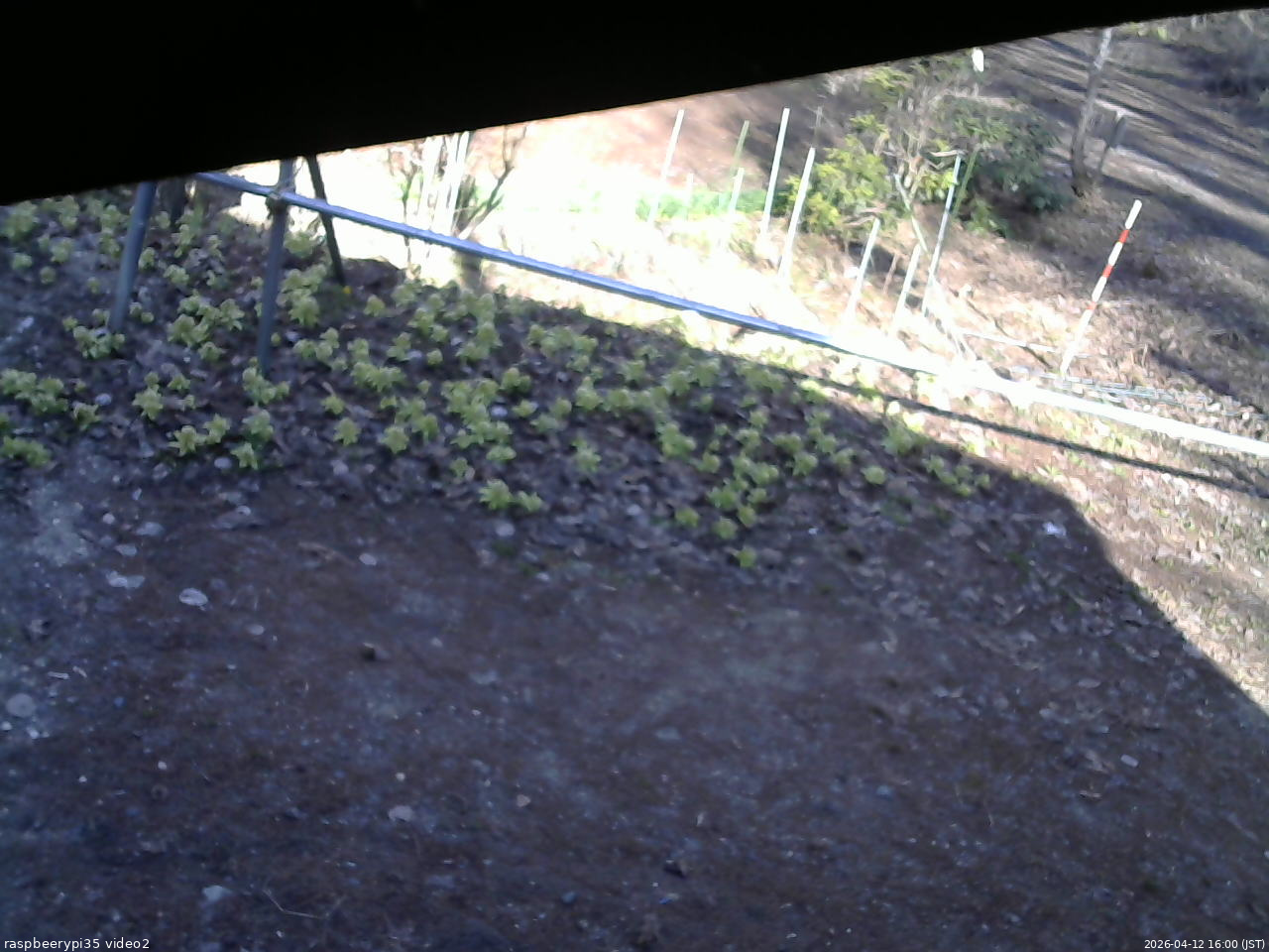 長野県菅平高原 ゆたか山荘 駐車場 2026/04/12 16:00