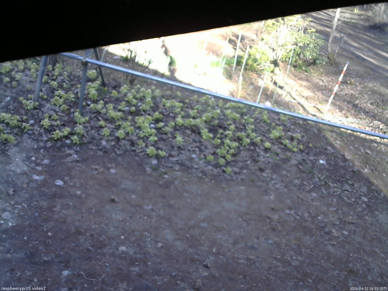 長野県菅平高原 ゆたか山荘 駐車場 2026/04/12 16:15