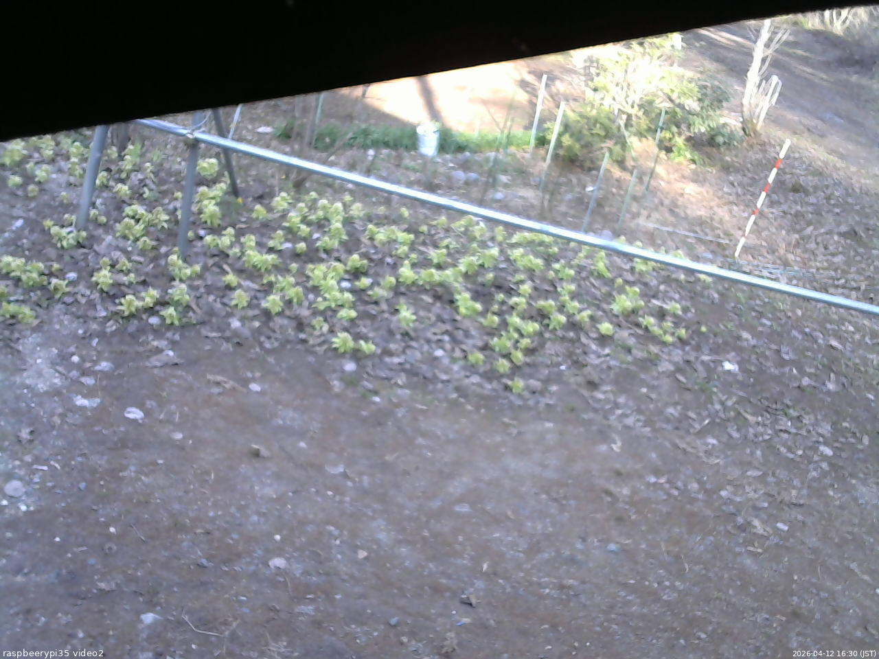 長野県菅平高原 ゆたか山荘 駐車場 2026/04/12 16:30