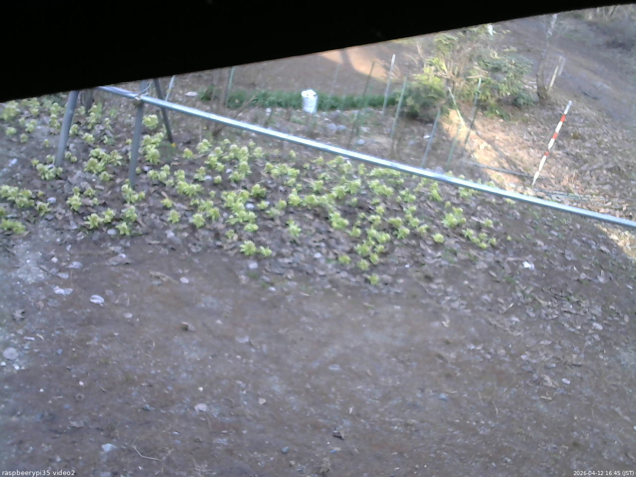 長野県菅平高原 ゆたか山荘 駐車場 2026/04/12 16:45