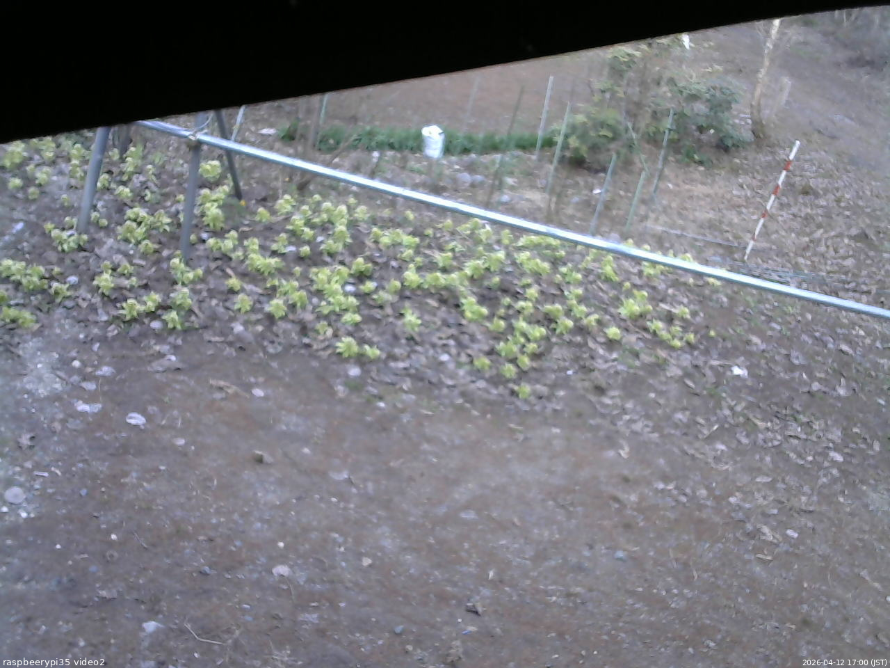 長野県菅平高原 ゆたか山荘 駐車場 2026/04/12 17:00