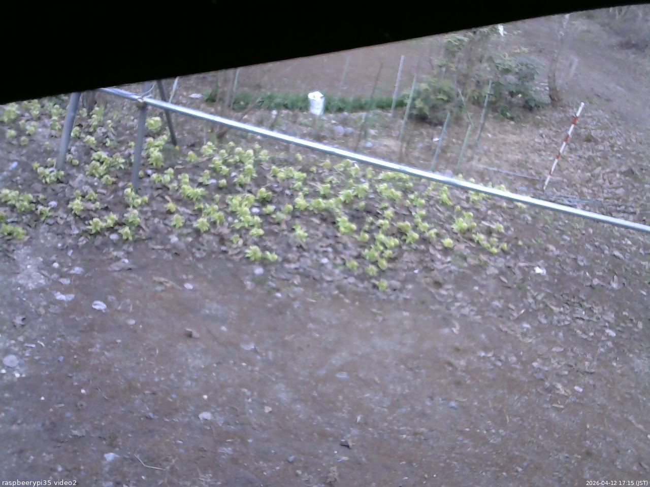 長野県菅平高原 ゆたか山荘 駐車場 2026/04/12 17:15