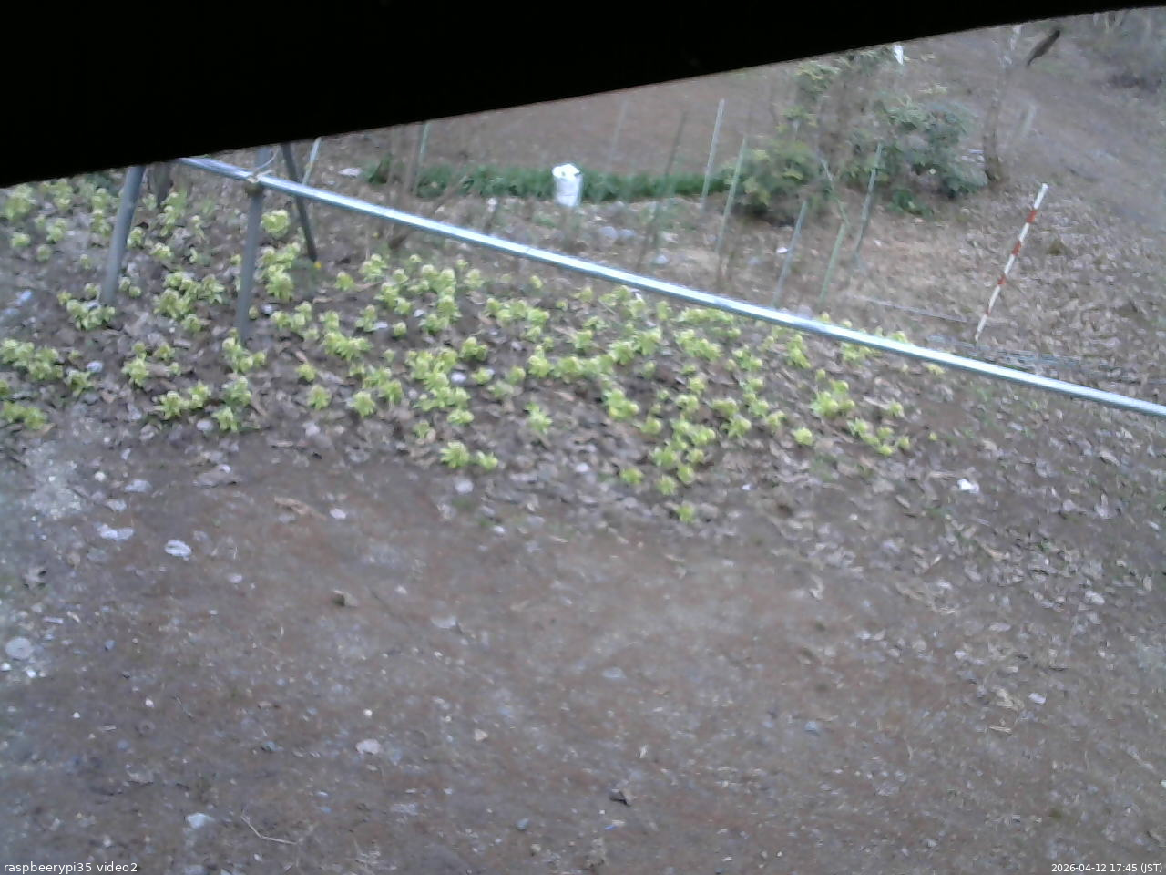 長野県菅平高原 ゆたか山荘 駐車場 2026/04/12 17:45