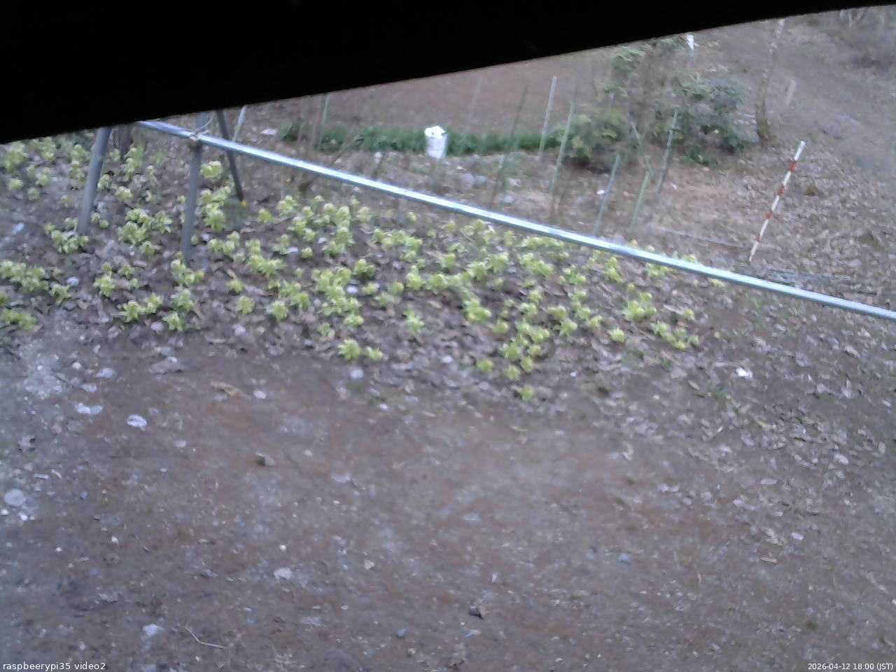 長野県菅平高原 ゆたか山荘 駐車場 2026/04/12 18:00