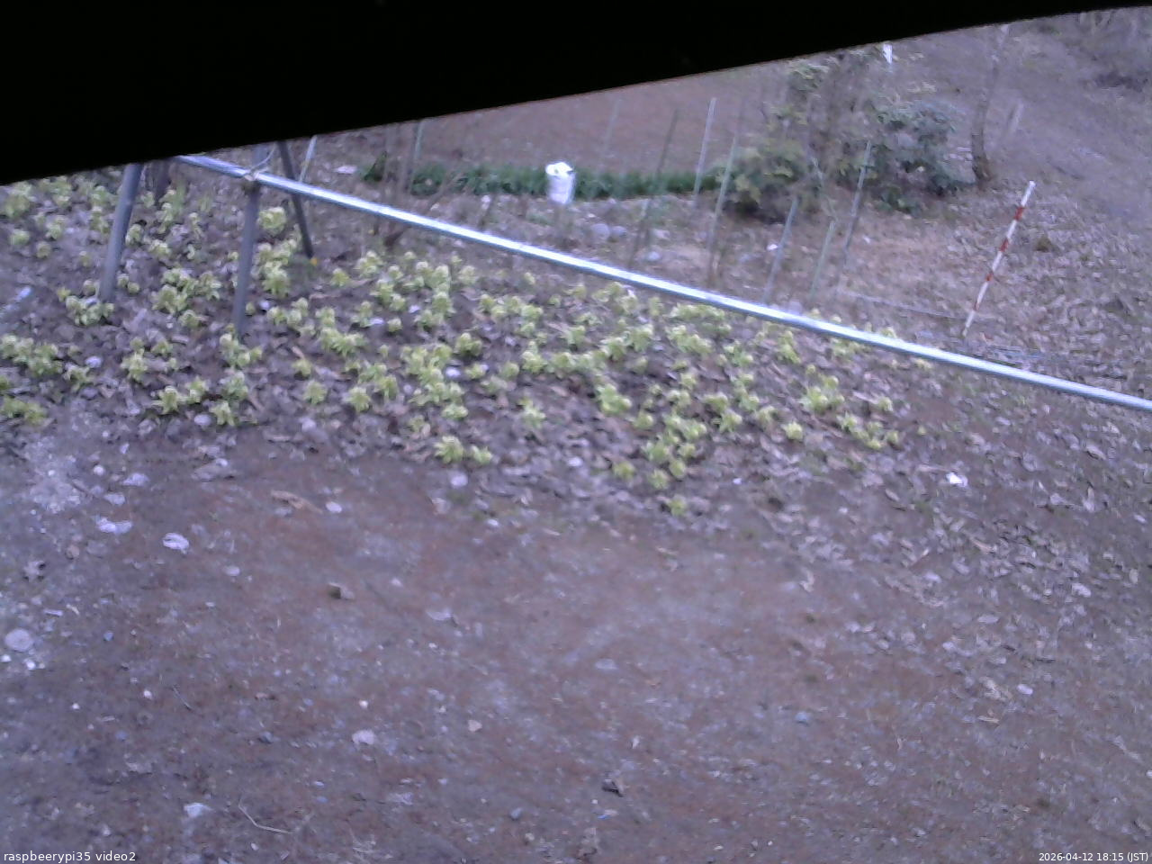 長野県菅平高原 ゆたか山荘 駐車場 2026/04/12 18:15