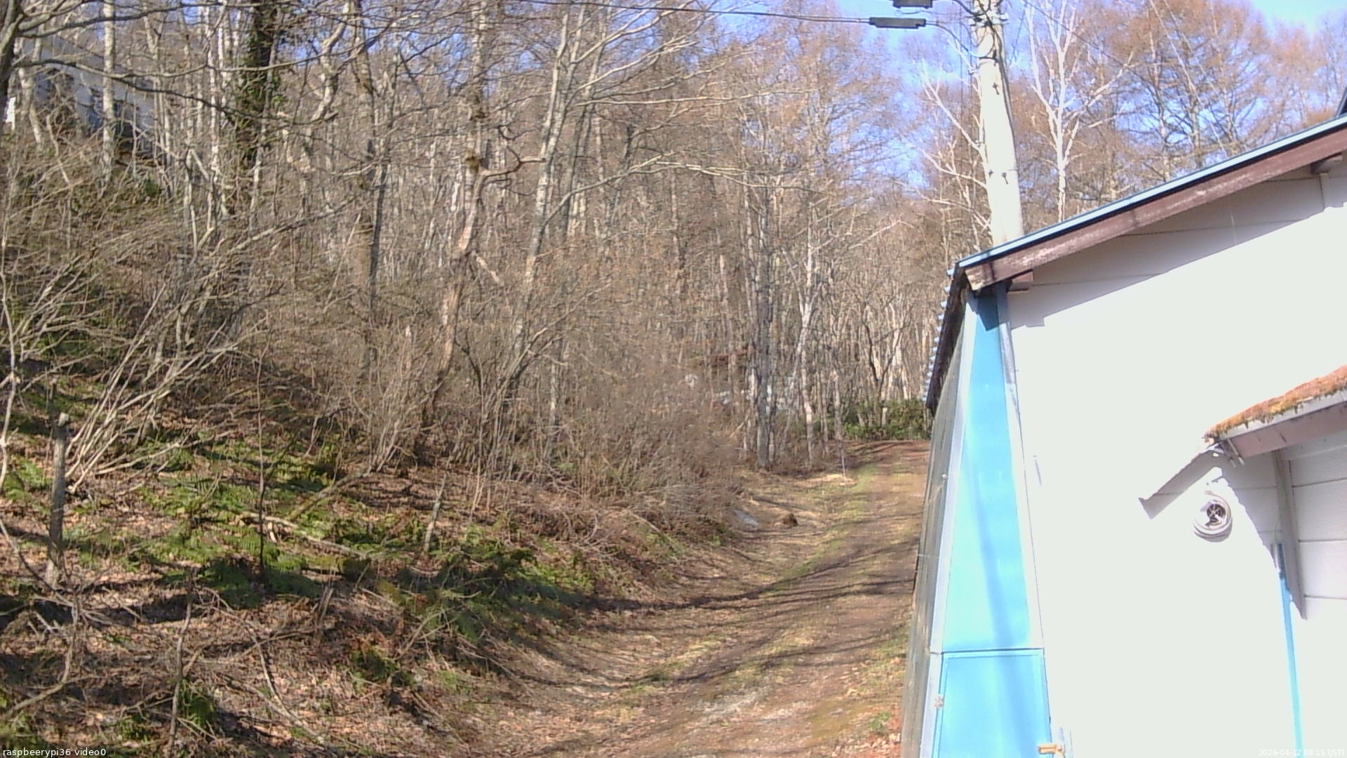 長野県菅平高原 ゆたか山荘 ゆたか山荘 2026/04/12 08:15