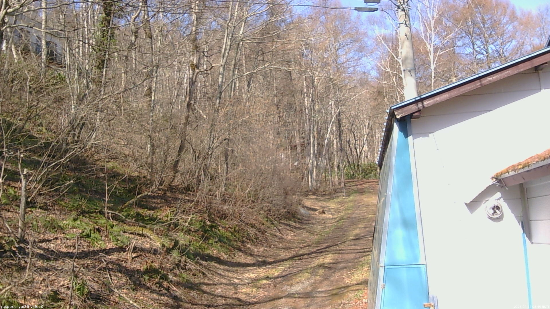 長野県菅平高原 ゆたか山荘 ゆたか山荘 2026/04/12 08:45