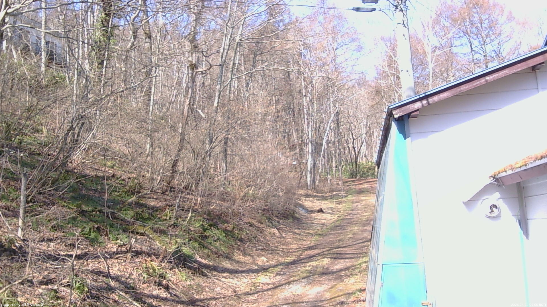 長野県菅平高原 ゆたか山荘 ゆたか山荘 2026/04/12 09:00