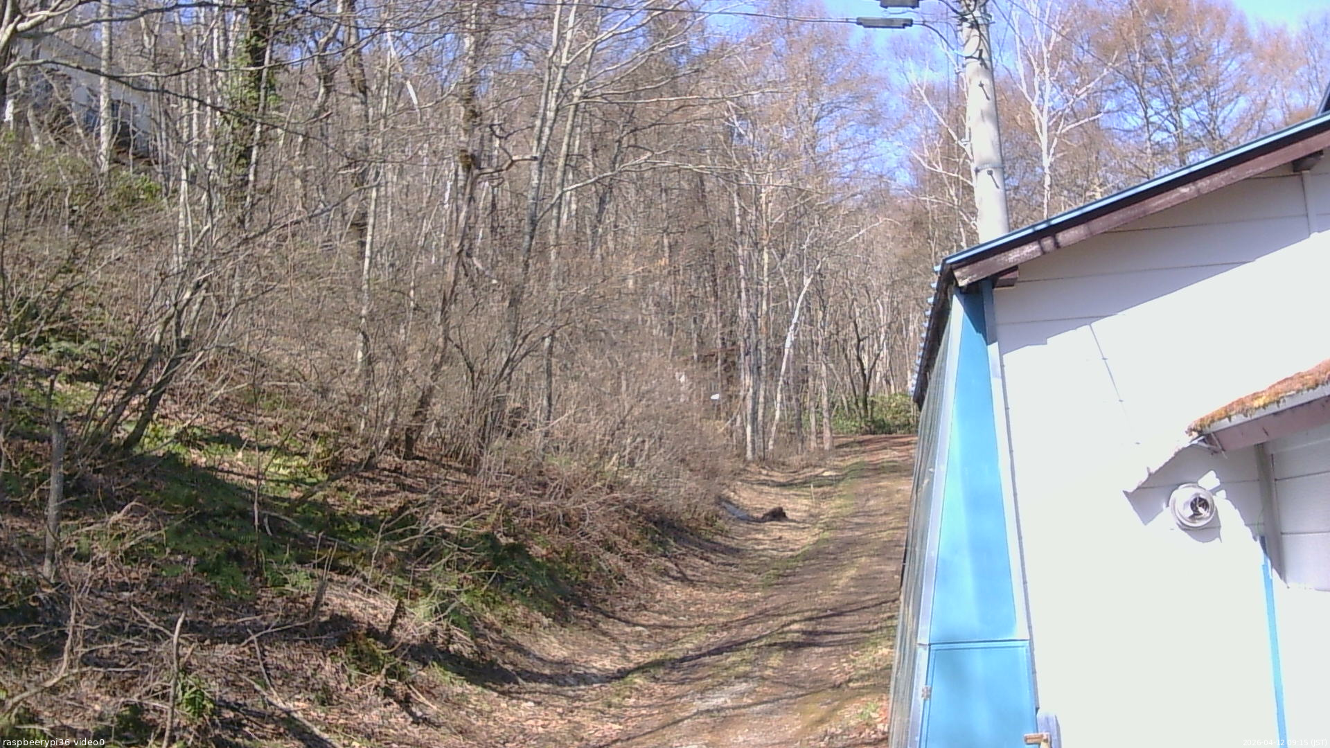 長野県菅平高原 ゆたか山荘 ゆたか山荘 2026/04/12 09:15