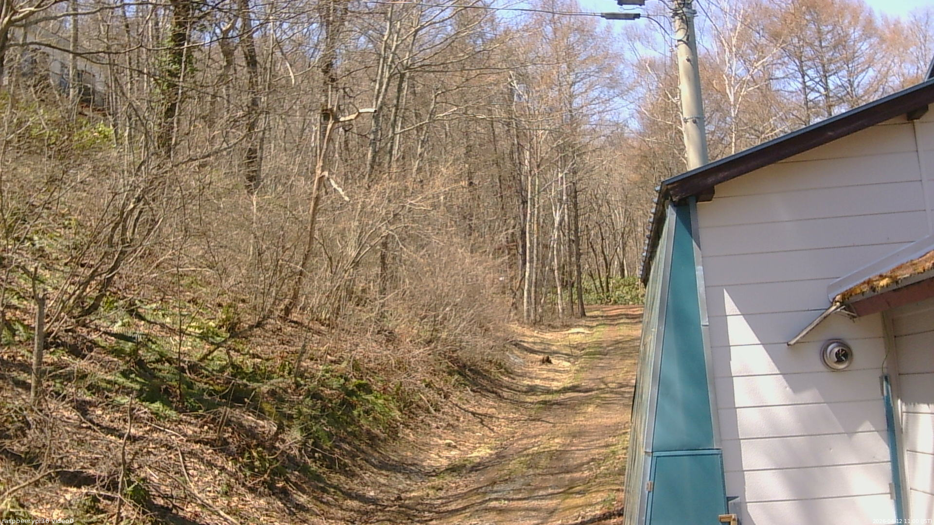 長野県菅平高原 ゆたか山荘 ゆたか山荘 2026/04/12 11:00