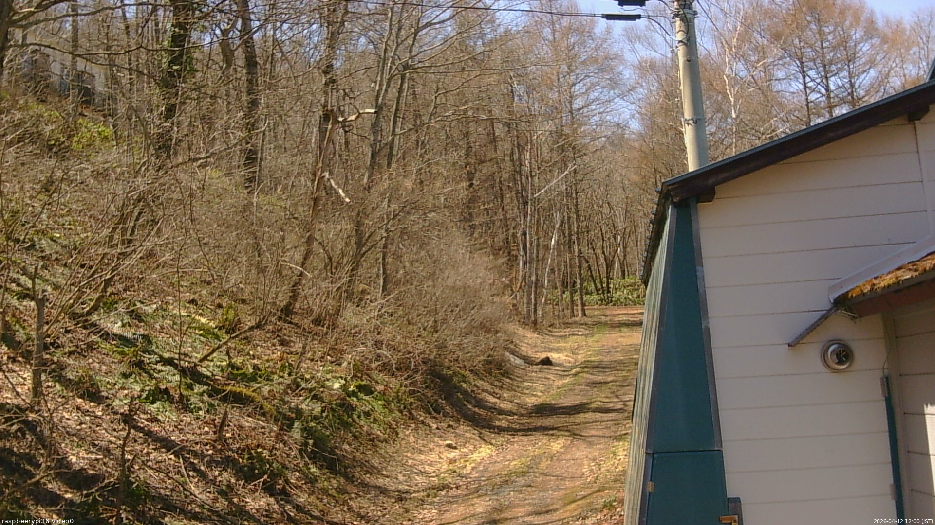 長野県菅平高原 ゆたか山荘 ゆたか山荘 2026/04/12 12:00