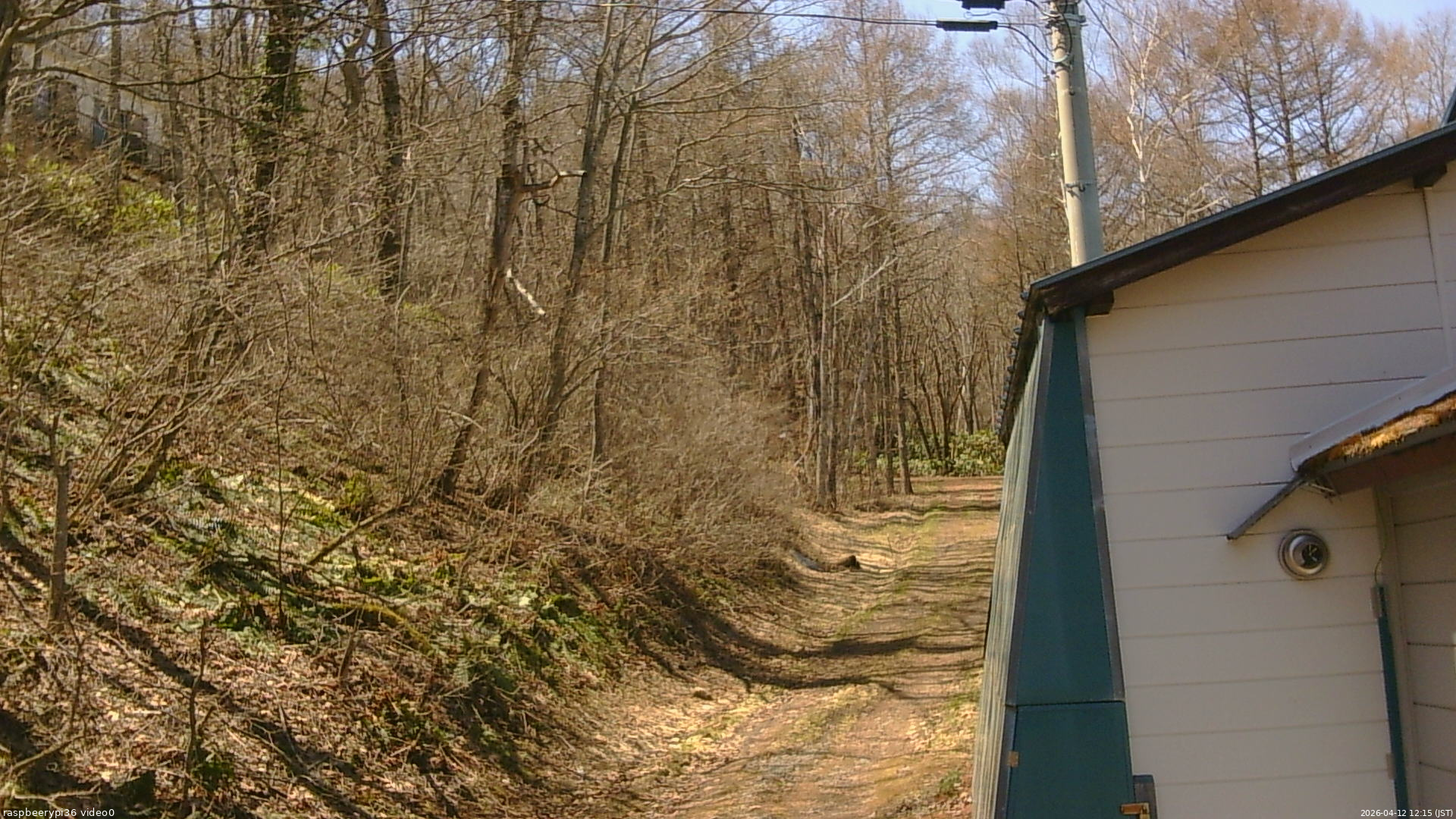 長野県菅平高原 ゆたか山荘 ゆたか山荘 2026/04/12 12:15