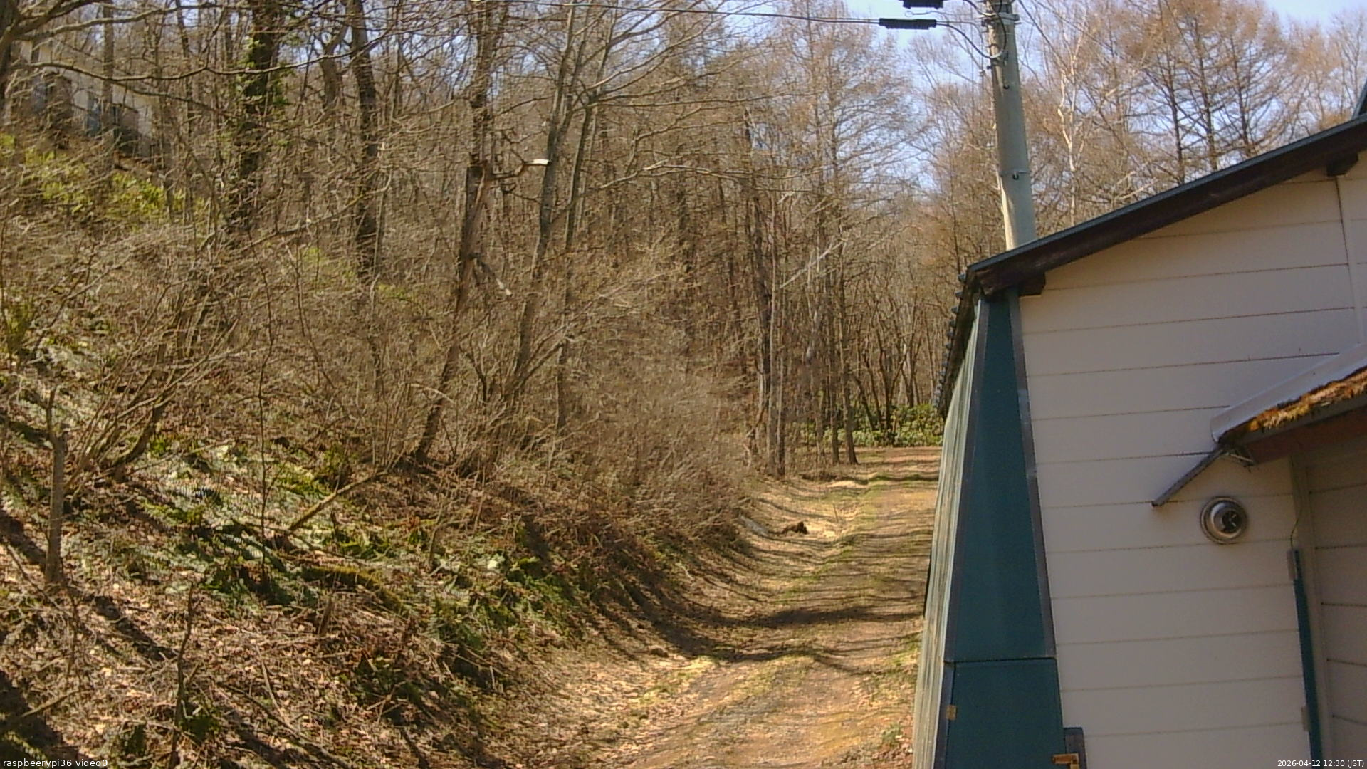 長野県菅平高原 ゆたか山荘 ゆたか山荘 2026/04/12 12:30
