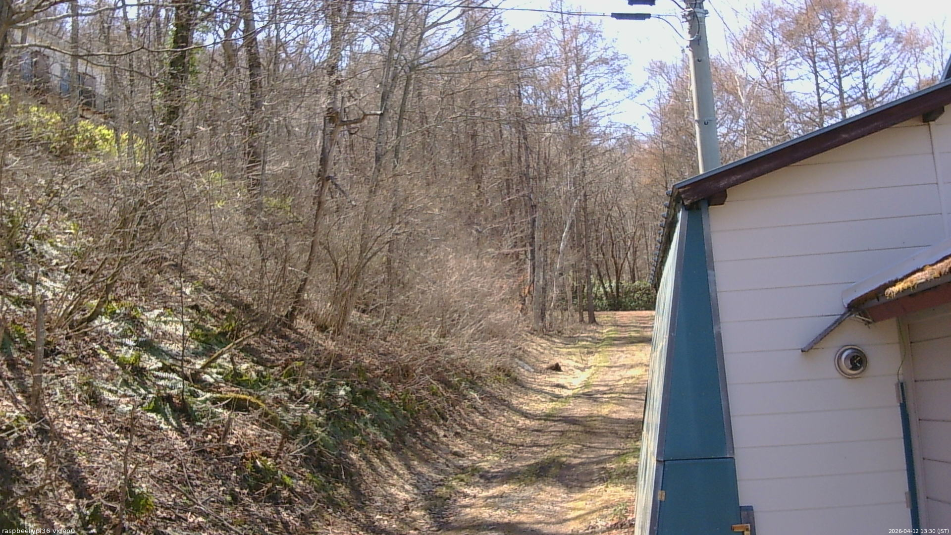 長野県菅平高原 ゆたか山荘 ゆたか山荘 2026/04/12 13:30