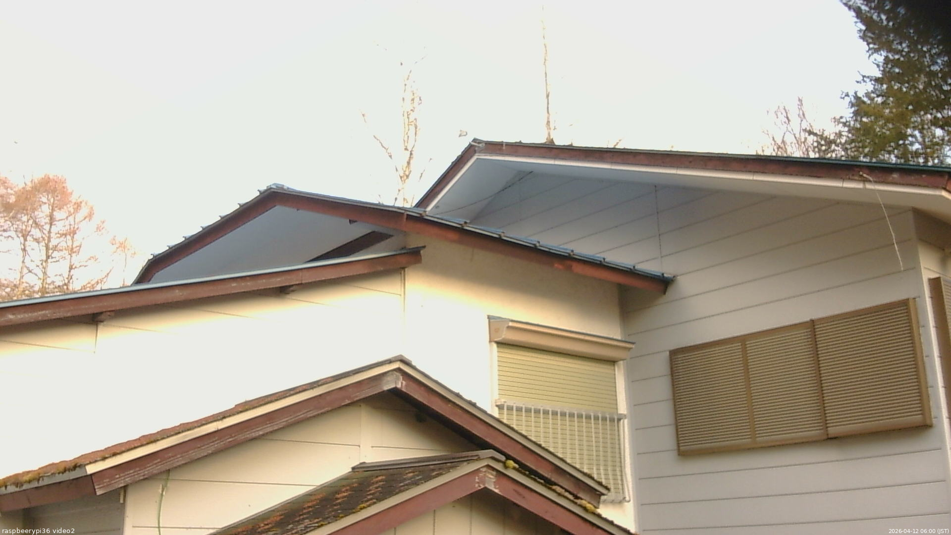 長野県菅平高原 ゆたか山荘 駐車場奥 2026/04/12 06:00