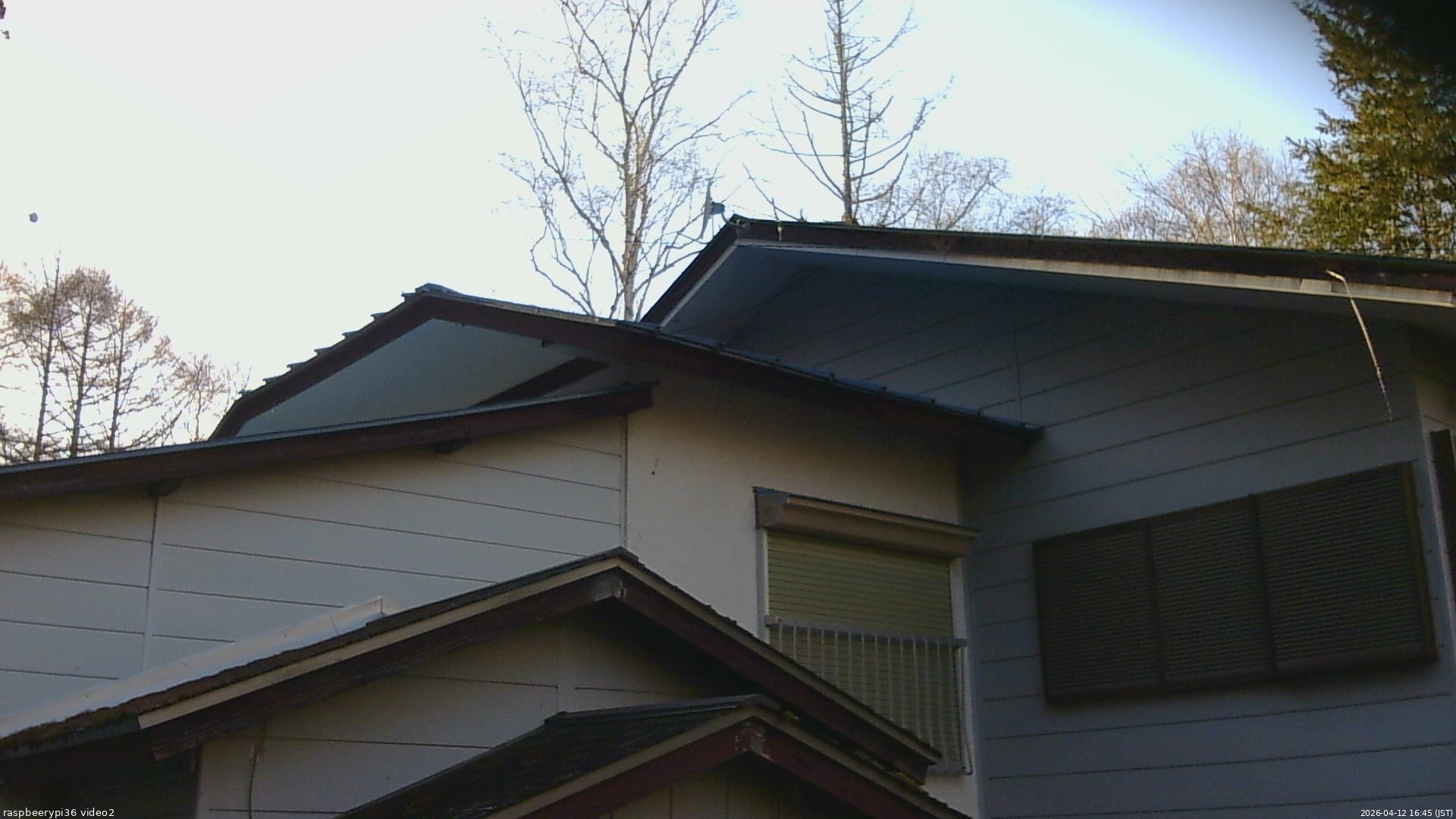 長野県菅平高原 ゆたか山荘 駐車場奥 2026/04/12 16:45