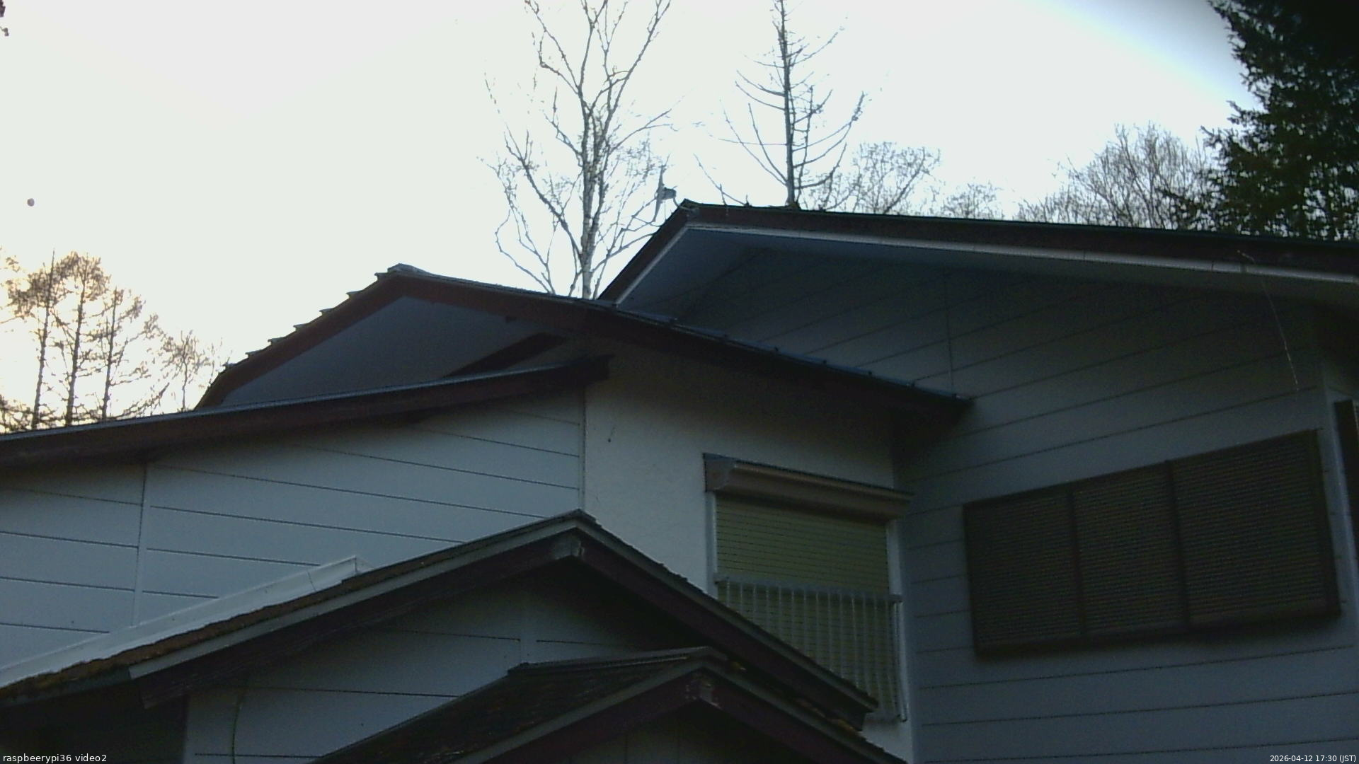 長野県菅平高原 ゆたか山荘 駐車場奥 2026/04/12 17:30