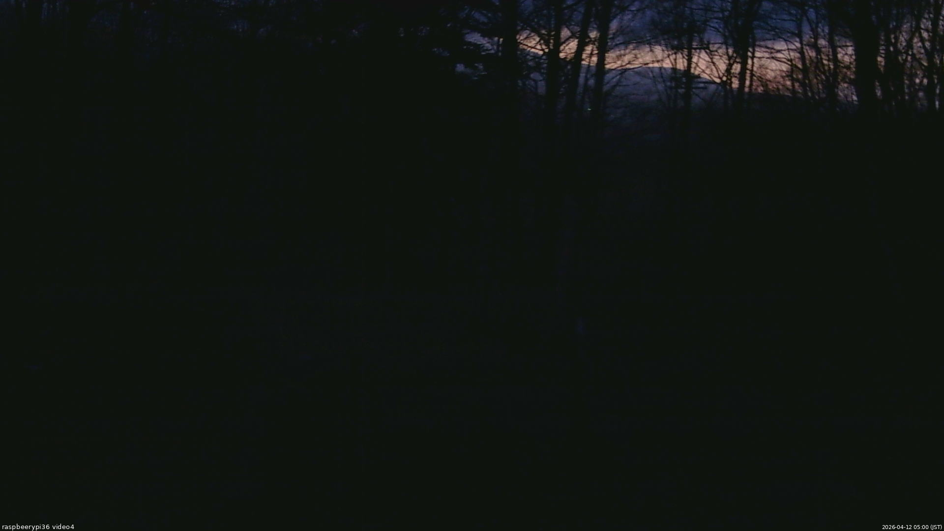 長野県菅平高原 ゆたか山荘 坂上 2026/04/12 05:00