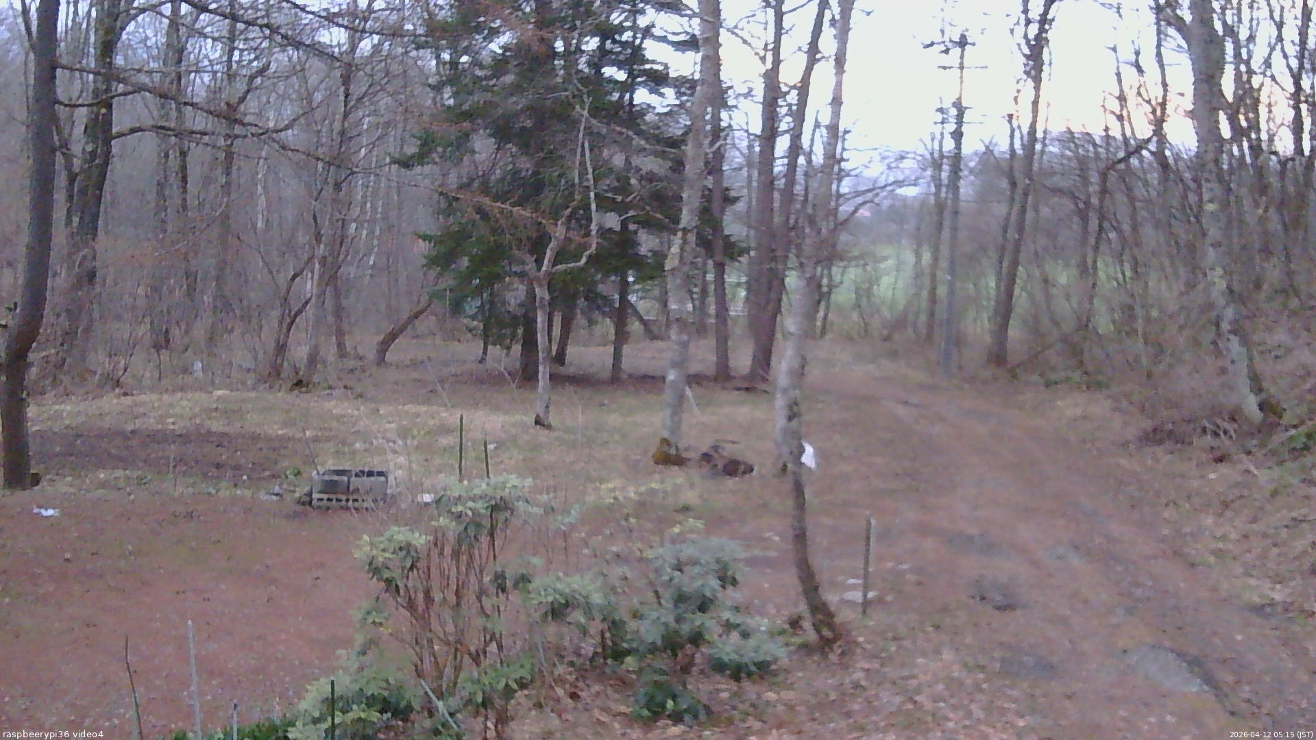 長野県菅平高原 ゆたか山荘 坂上 2026/04/12 05:15