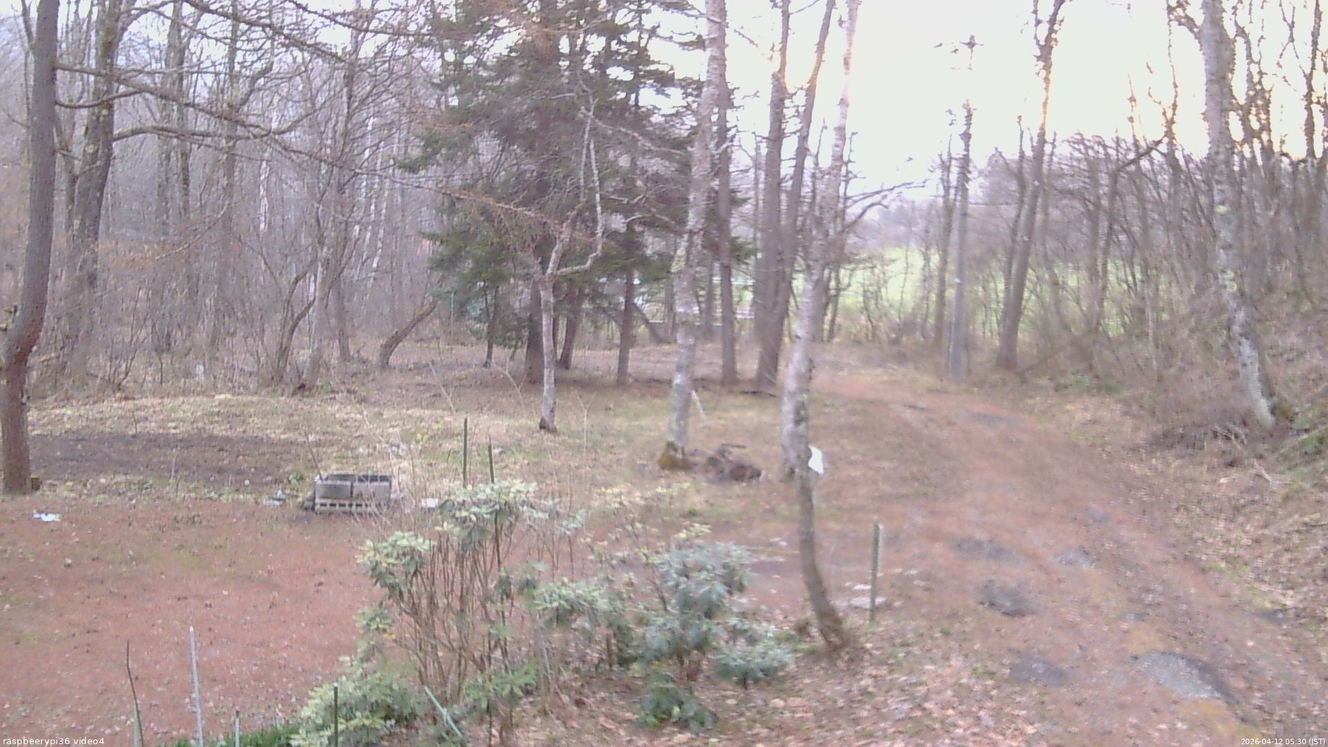 長野県菅平高原 ゆたか山荘 坂上 2026/04/12 05:30
