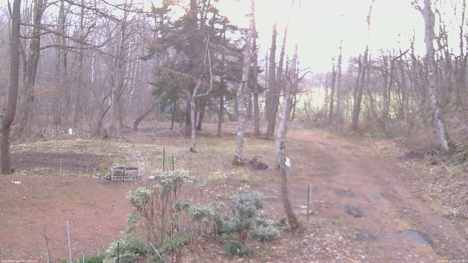 長野県菅平高原 ゆたか山荘 坂上 2026/04/12 06:00