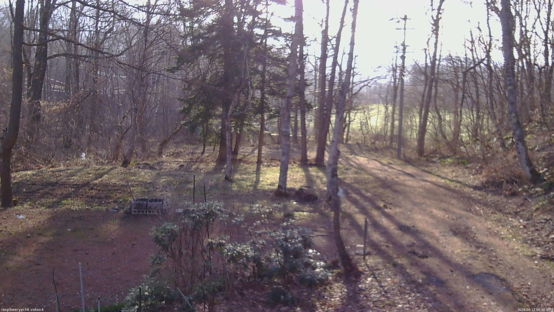 長野県菅平高原 ゆたか山荘 坂上 2026/04/12 06:30