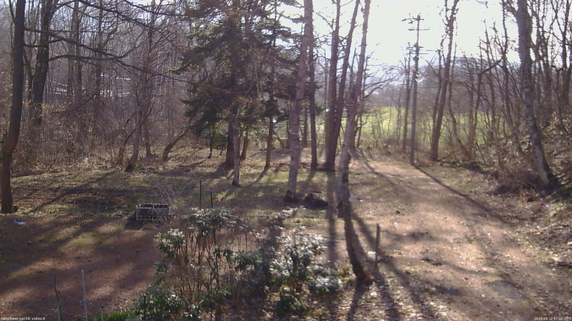 長野県菅平高原 ゆたか山荘 坂上 2026/04/12 07:00
