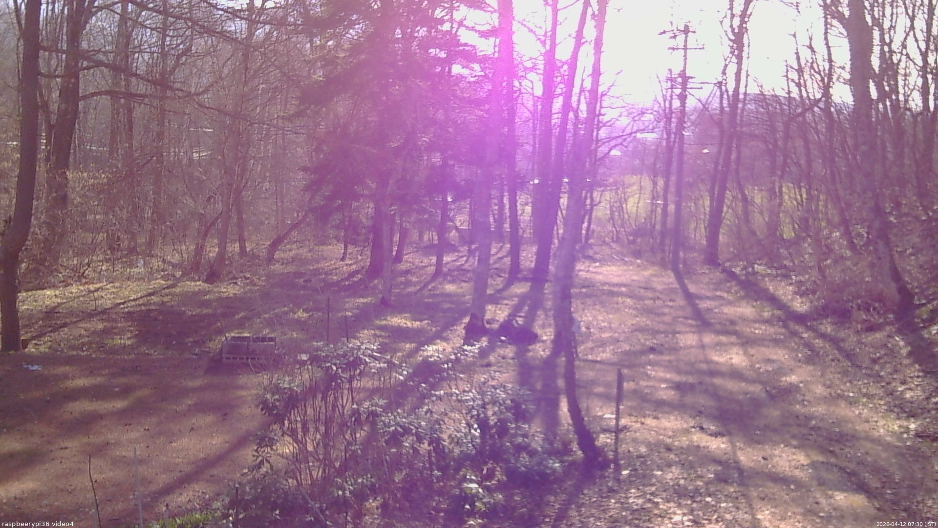 長野県菅平高原 ゆたか山荘 坂上 2026/04/12 07:30