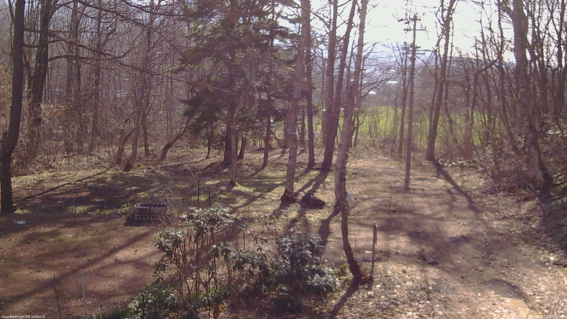 長野県菅平高原 ゆたか山荘 坂上 2026/04/12 07:45