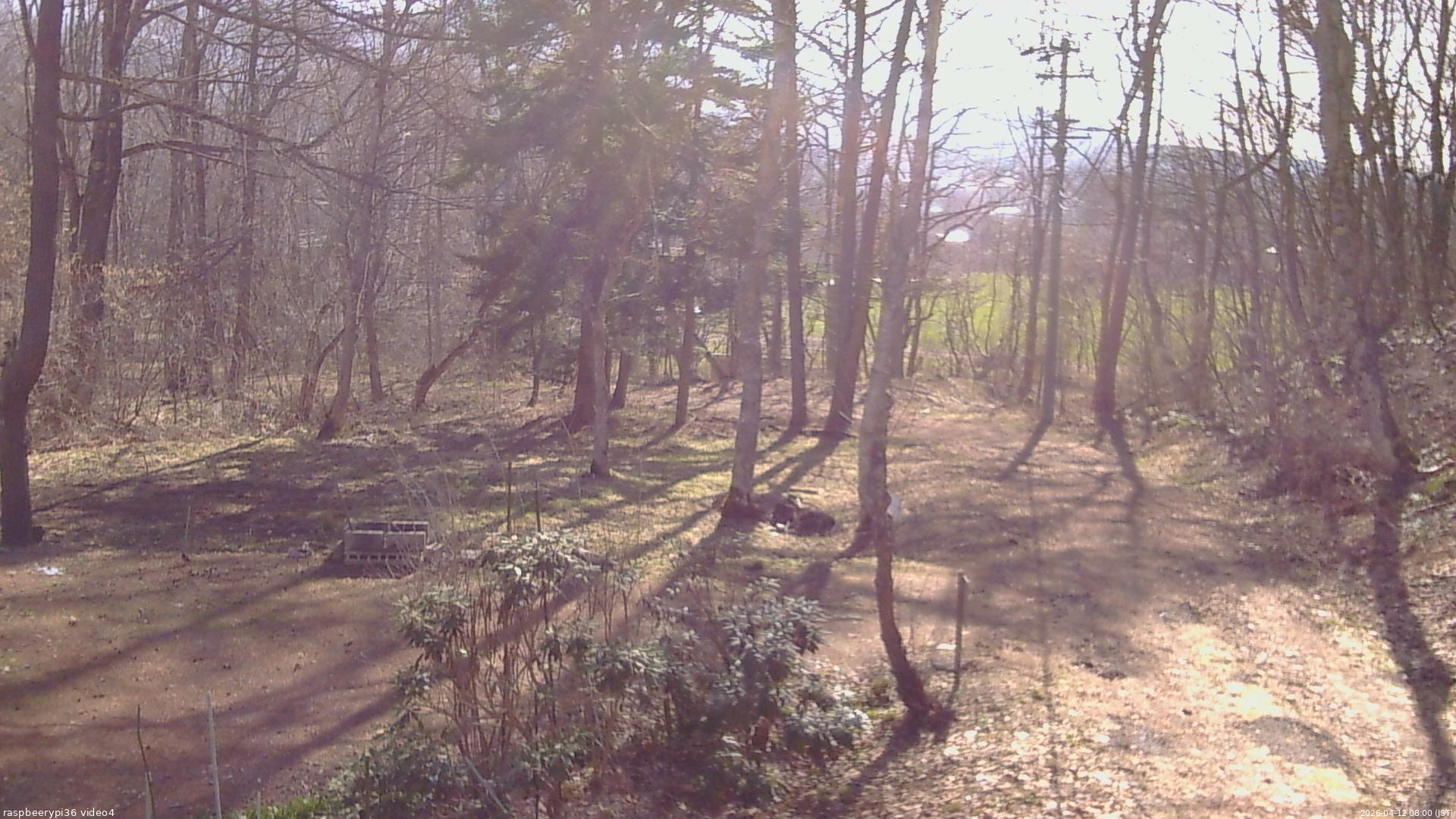 長野県菅平高原 ゆたか山荘 坂上 2026/04/12 08:00