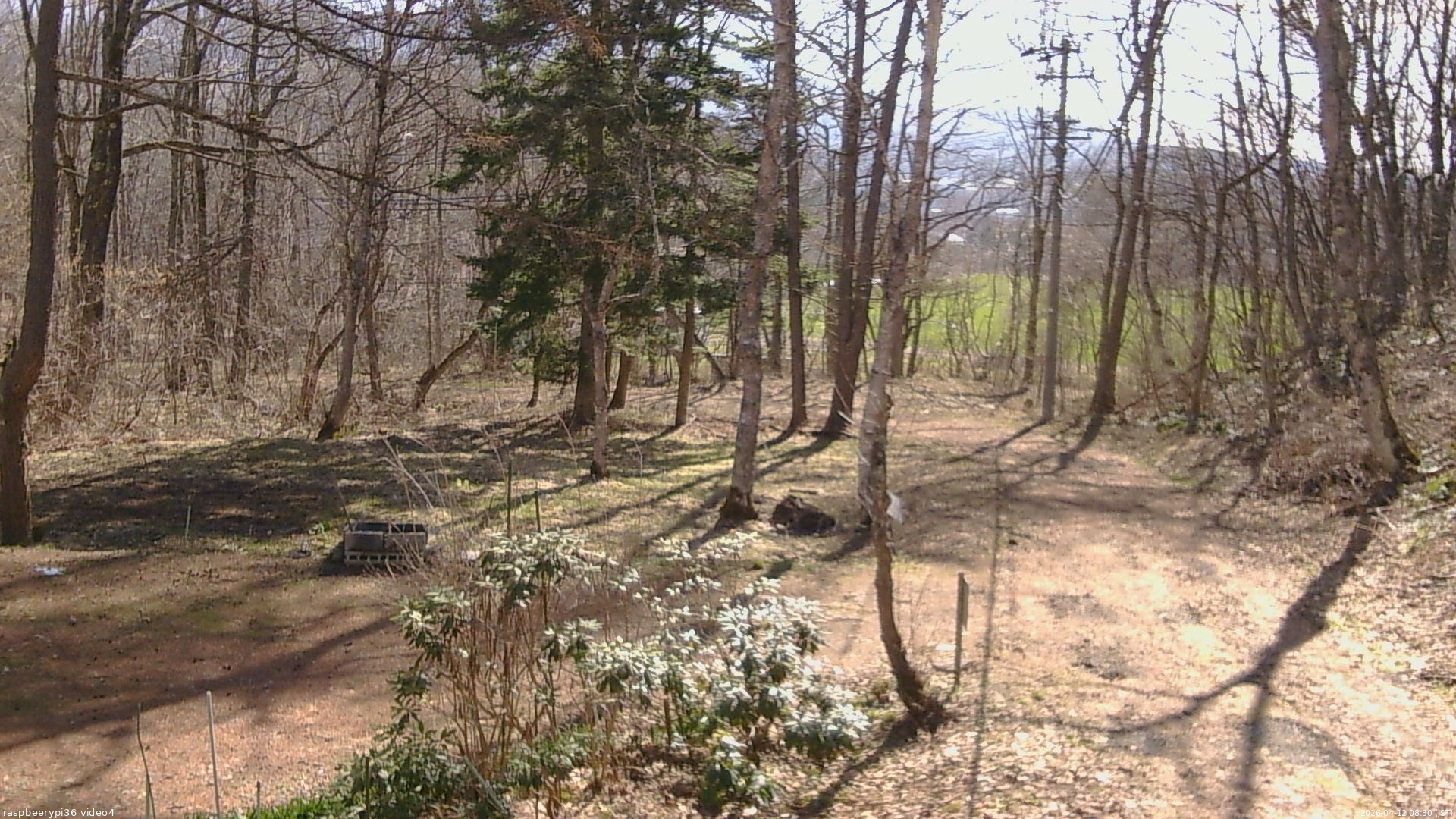 長野県菅平高原 ゆたか山荘 坂上 2026/04/12 08:30